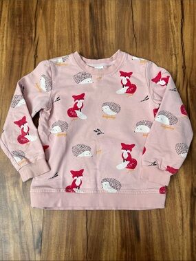 Girls' Pink Fox & Hedgehog Print Pullover Sweatshirt - Kids